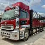 Nissan RJ UD CD5 Wooden Cargo/ Kargo Kayu